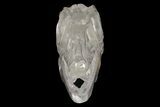 Carved Quartz Crystal Dinosaur Skull #227039-2